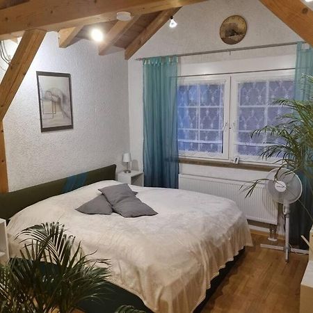 Gemuetliche Dachgeschosswohnung エアフルト エクステリア 写真