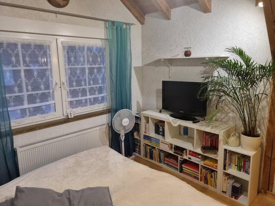 Gemuetliche Dachgeschosswohnung エアフルト エクステリア 写真